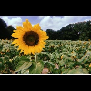 Meet your Posher, Lucca